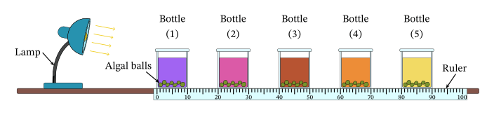 Effect of light color on photosynthesis picture